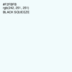 #F2FBFB - Black Squeeze Color Image